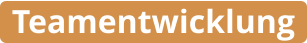 Teamentwicklung