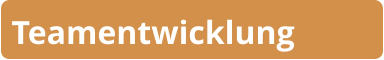 Teamentwicklung